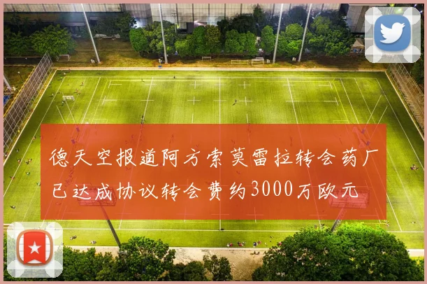 德天空报道阿方索莫雷拉转会药厂已达成协议转会费约3000万欧元